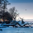 Winter am Strand