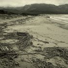 Winter am Strand  /  L'inverno in spiaggia