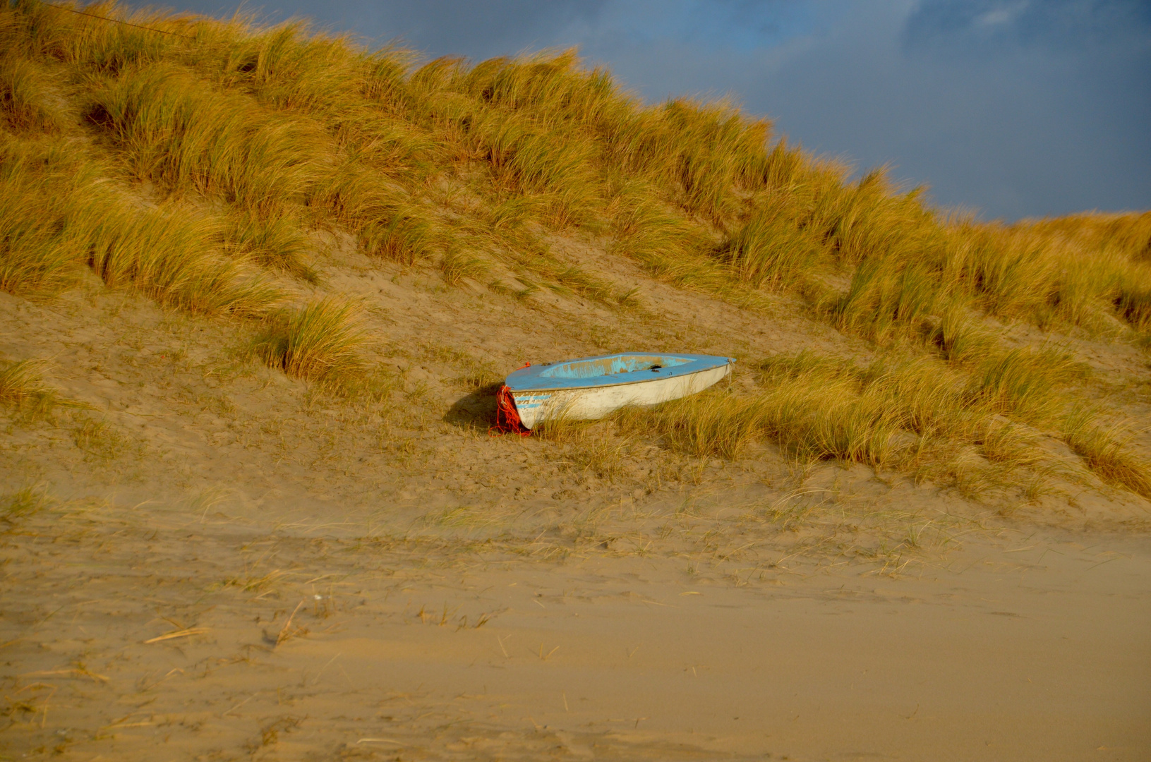 Winter am Strand von Texel