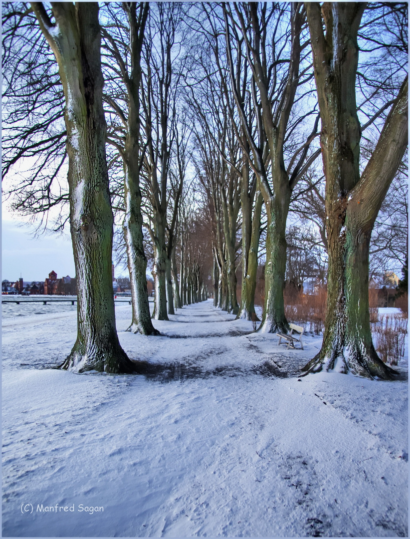 Winter am Strelasund