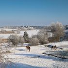 Winter am Struckteich