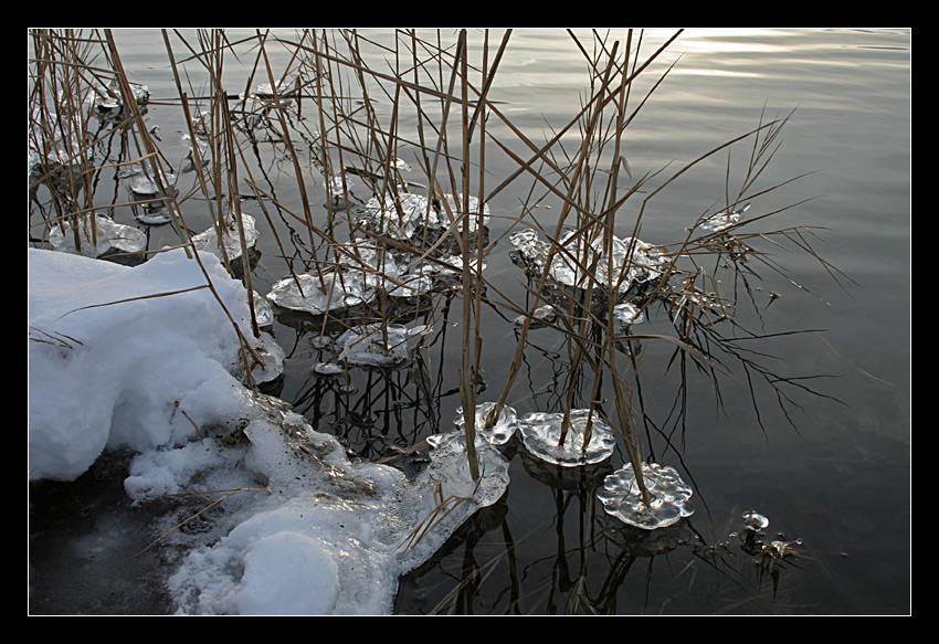 Winter am Tankumsee