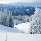 Winter am Tegelberg