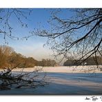 Winter am Tegeler See