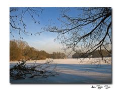 Winter am Tegeler See