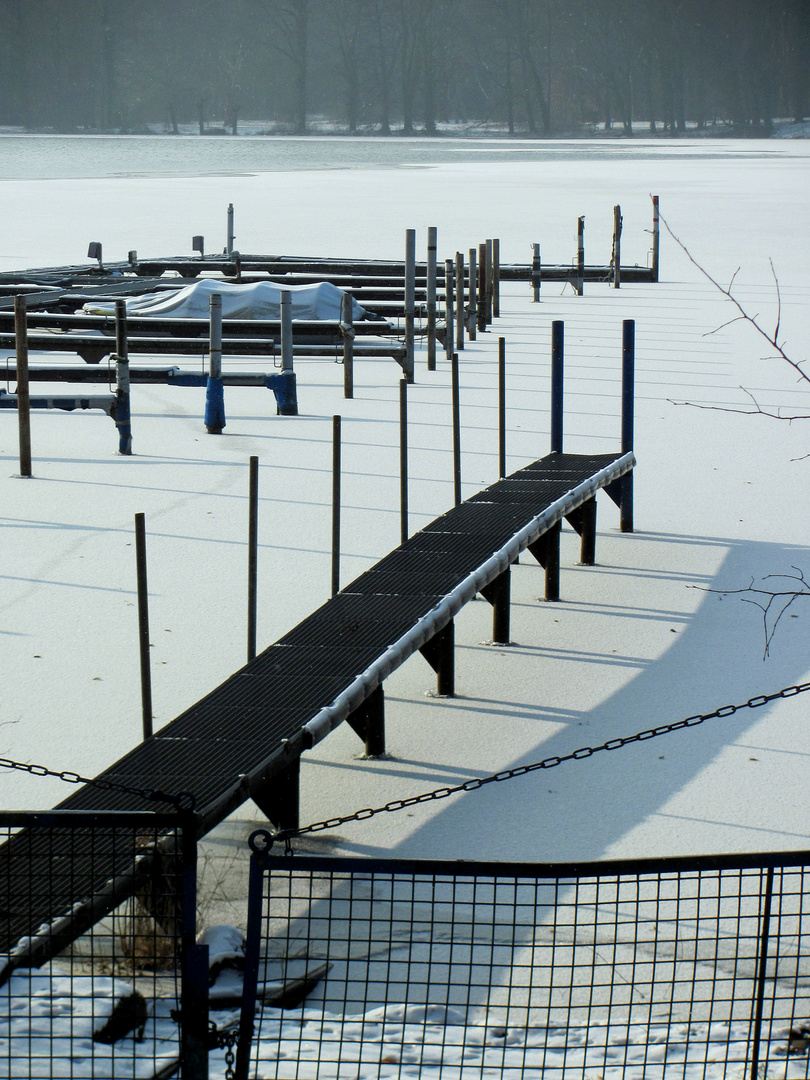 Winter am Tegeler See