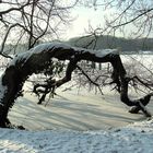 Winter am Tegeler See II