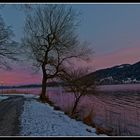 Winter am Tegernsee