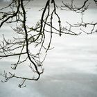 Winter am Teich (1)