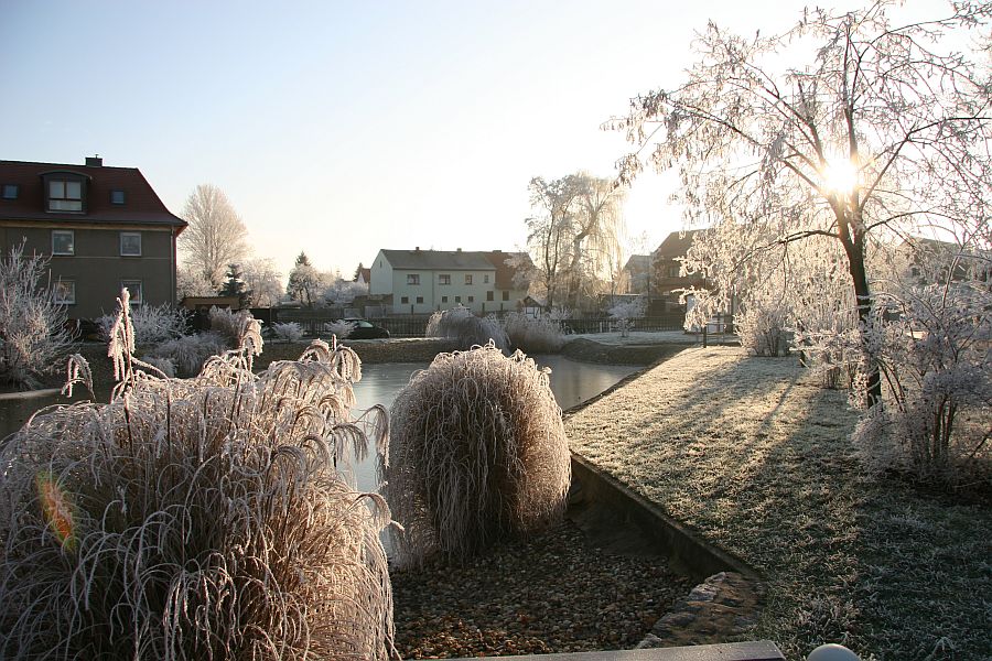 Winter am Teich