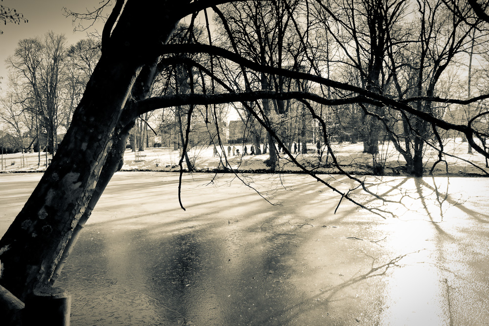 Winter am Teich 2
