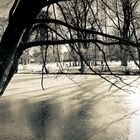 Winter am Teich 2