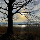 Winter am Teich