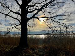 Winter am Teich