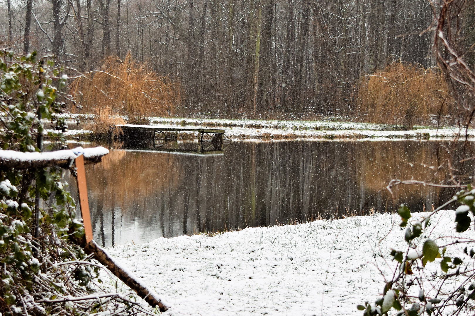 Winter am Teich