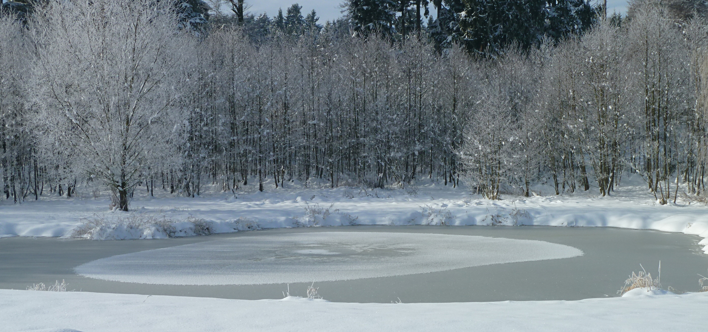 Winter am Teich