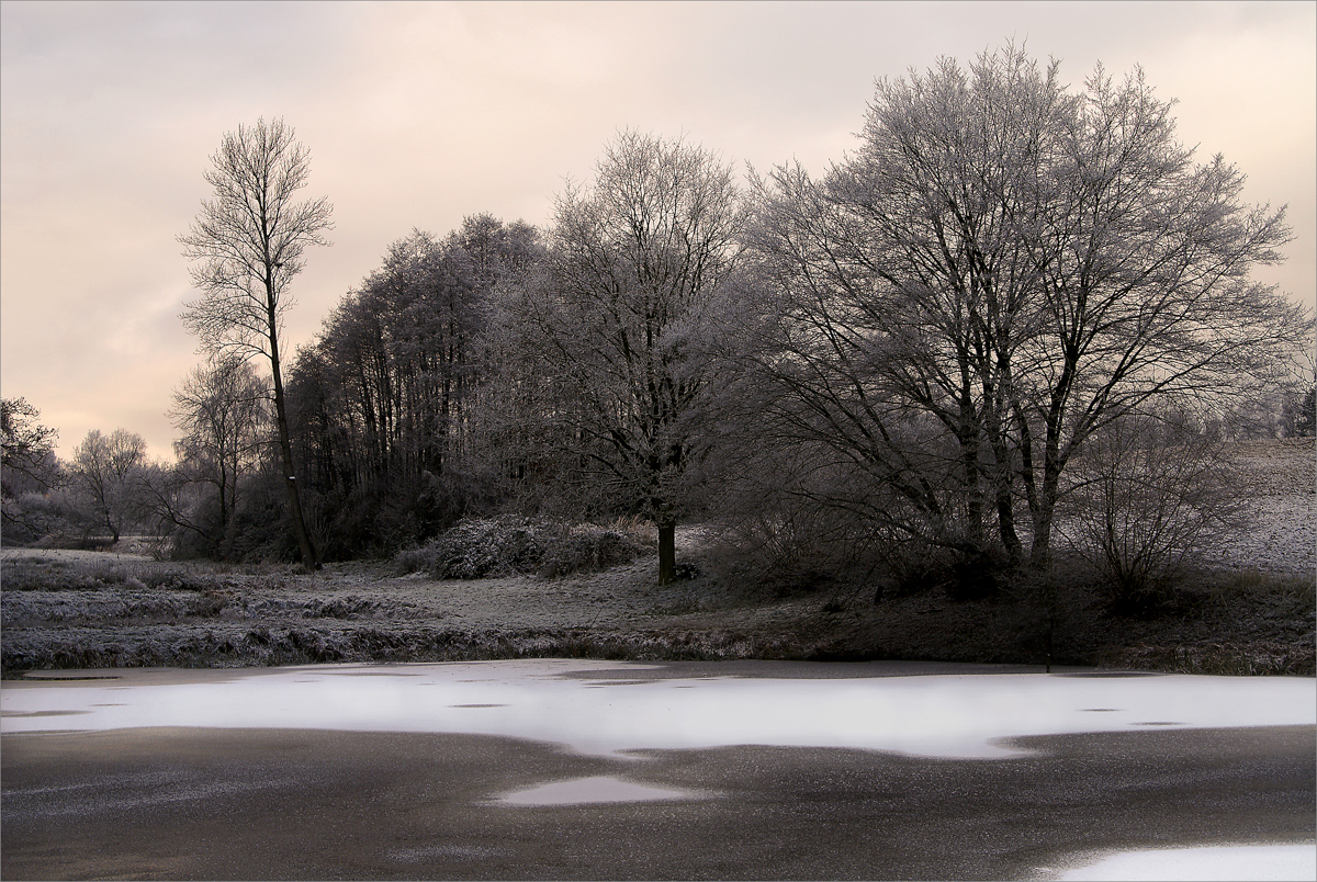 Winter am Teich