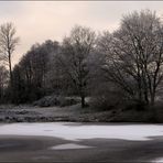 Winter am Teich