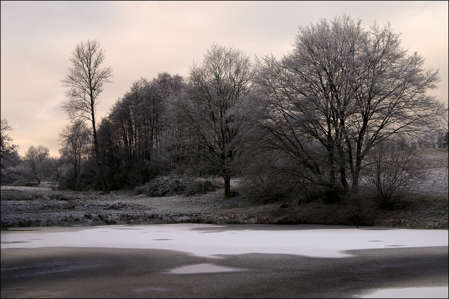 Winter am Teich