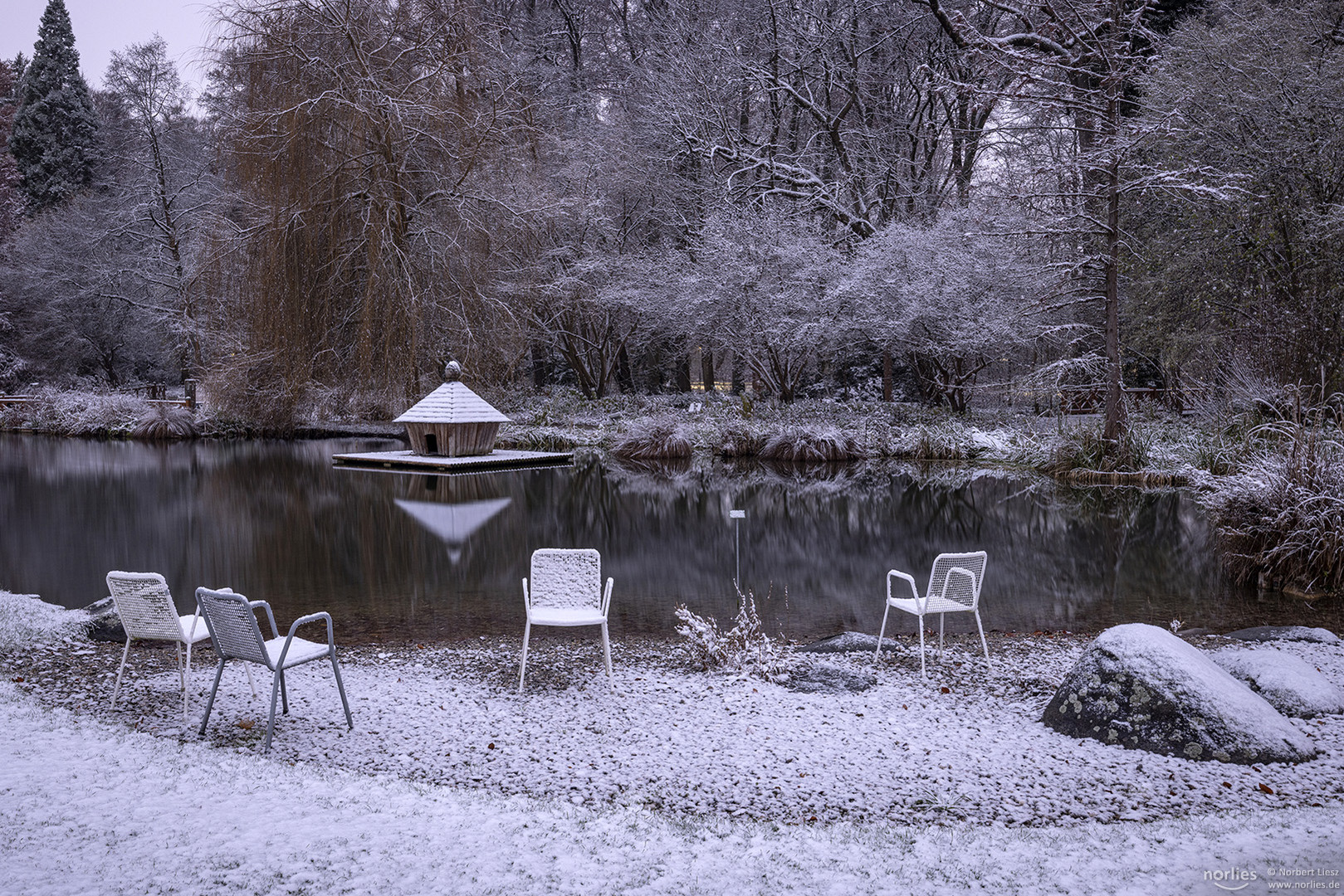 Winter am Teich