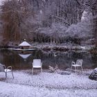 Winter am Teich