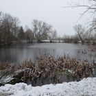 Winter am Teich