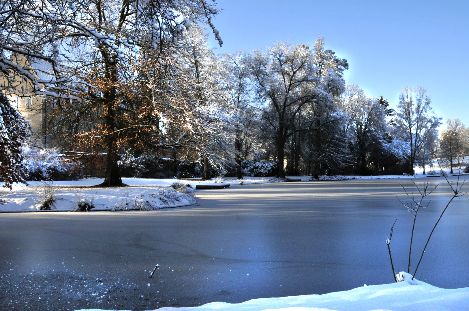 Winter am Teich