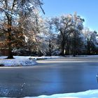 Winter am Teich