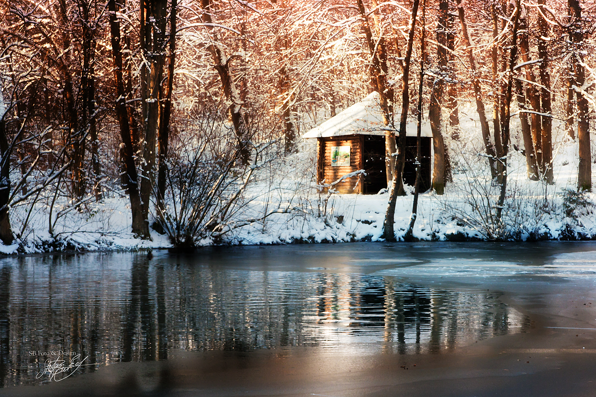 Winter am Teich