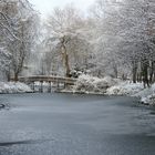 Winter am Teich