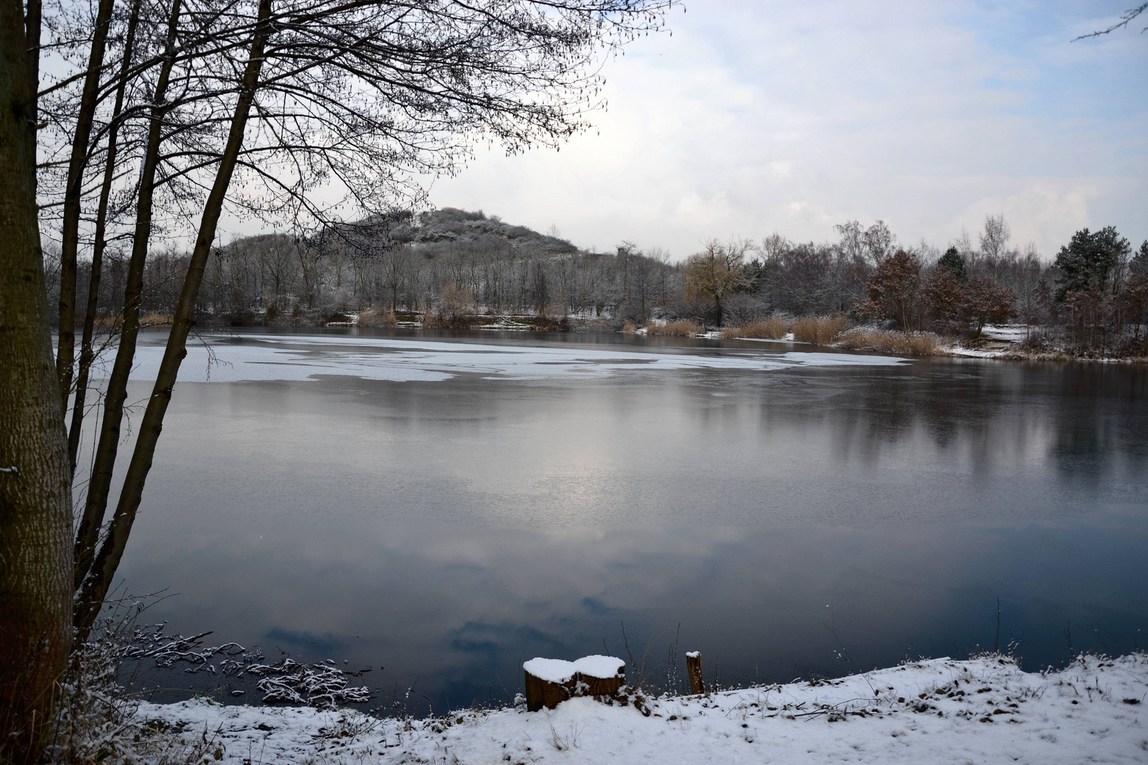 Winter am Teich