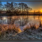 Winter am Teich