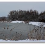 Winter am Teich.