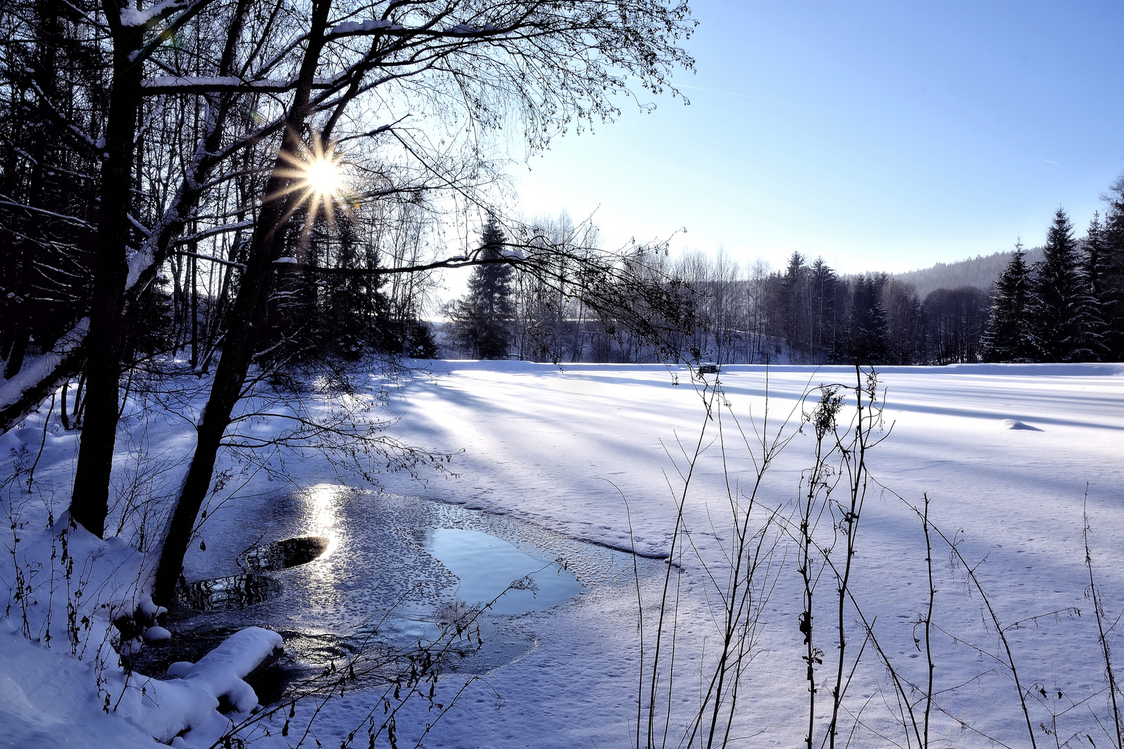 Winter am Teich Foto & Bild Bilder auf