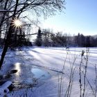 Winter am Teich