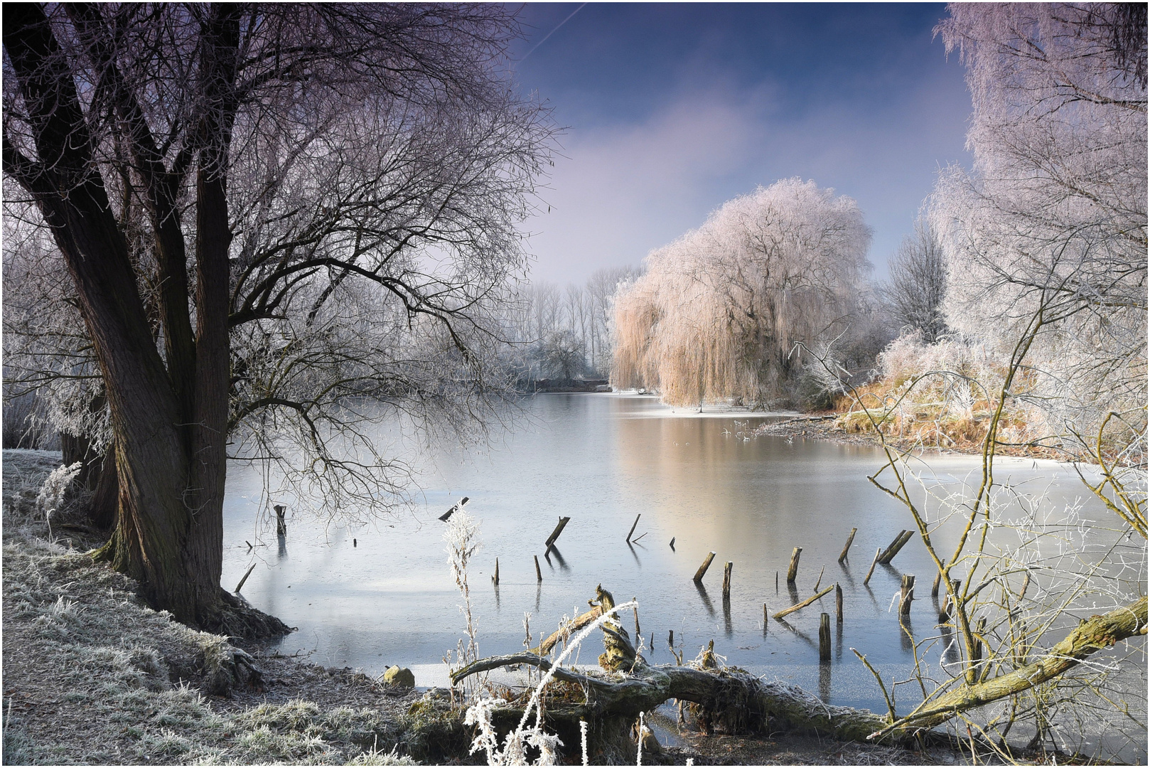 Winter am Teich