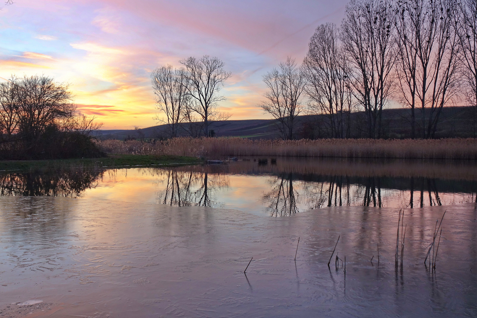 Winter am Teich