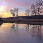 Winter am Teich