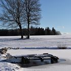 Winter am Teich  