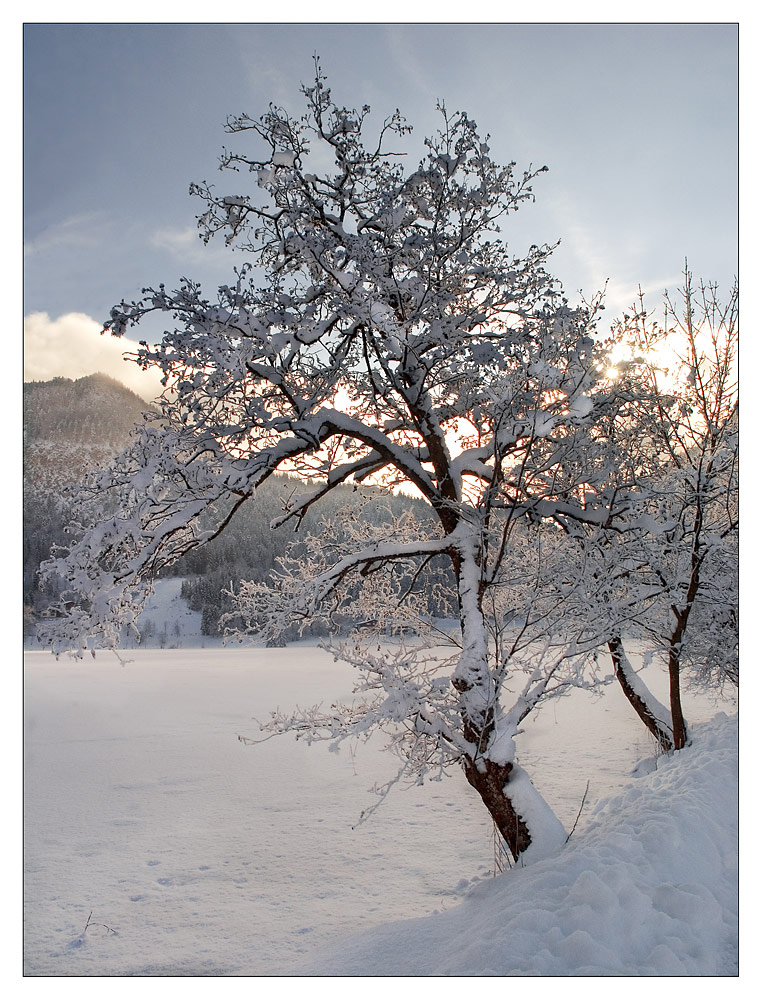 Winter am Thiersee (I)