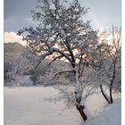 Winter am Thiersee (I)