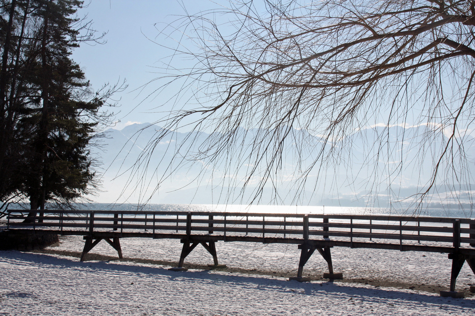 Winter am Thunersee