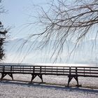 Winter am Thunersee