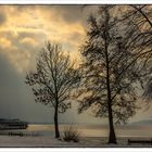 Winter am Tollensesee