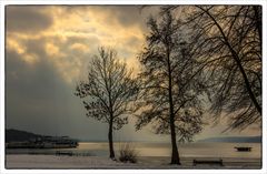 Winter am Tollensesee