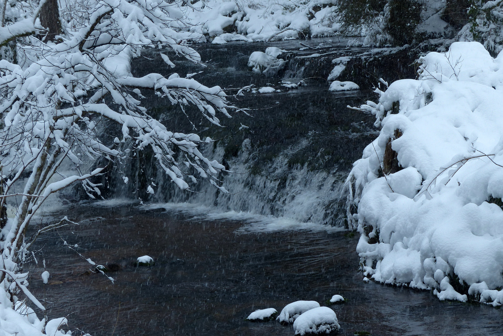 °°°° Winter am Tonbach 1 °°°°