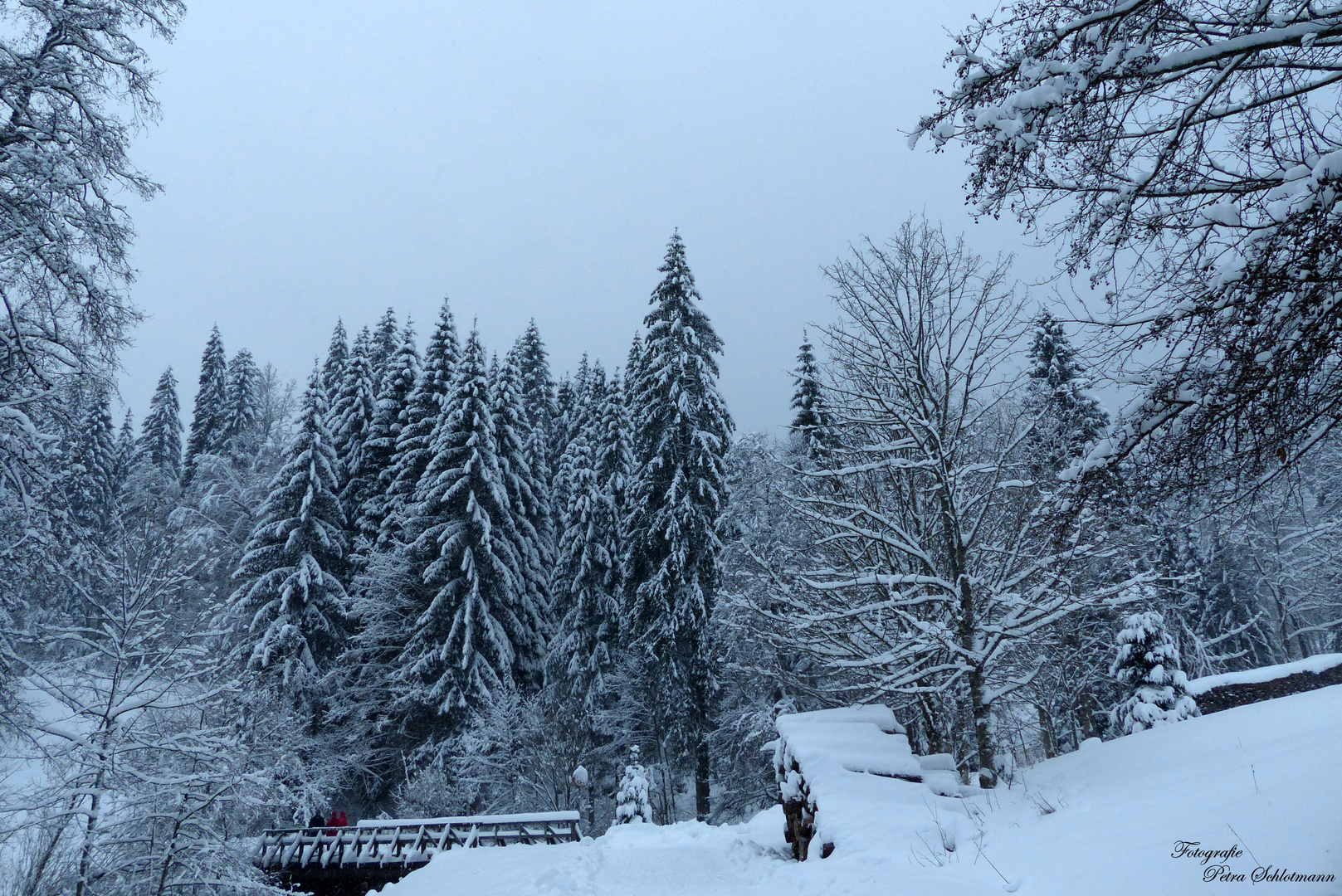 °°°° Winter am Tonbach 3 °°°°