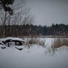 Winter am Tonsee