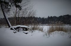 Winter am Tonsee