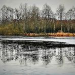 Winter am Torfvennteich